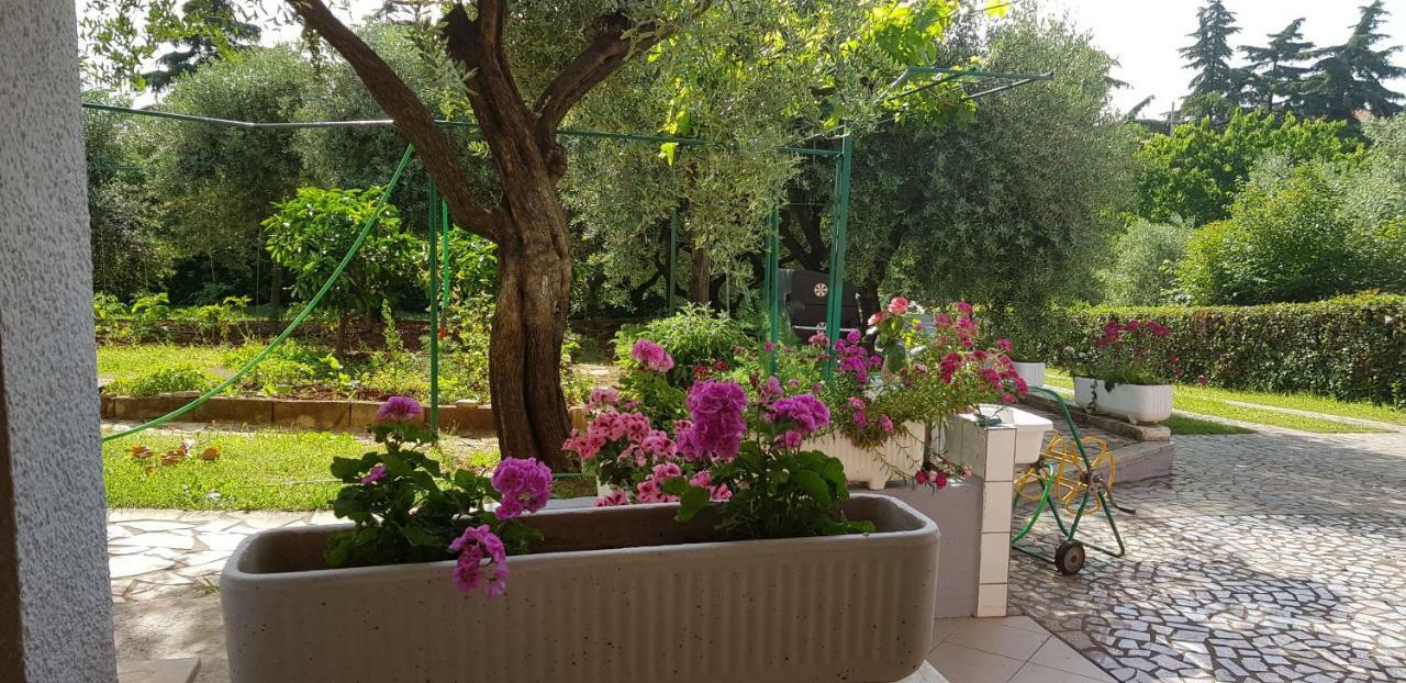 Clara 2 Lägenhet Poreč Exteriör bild